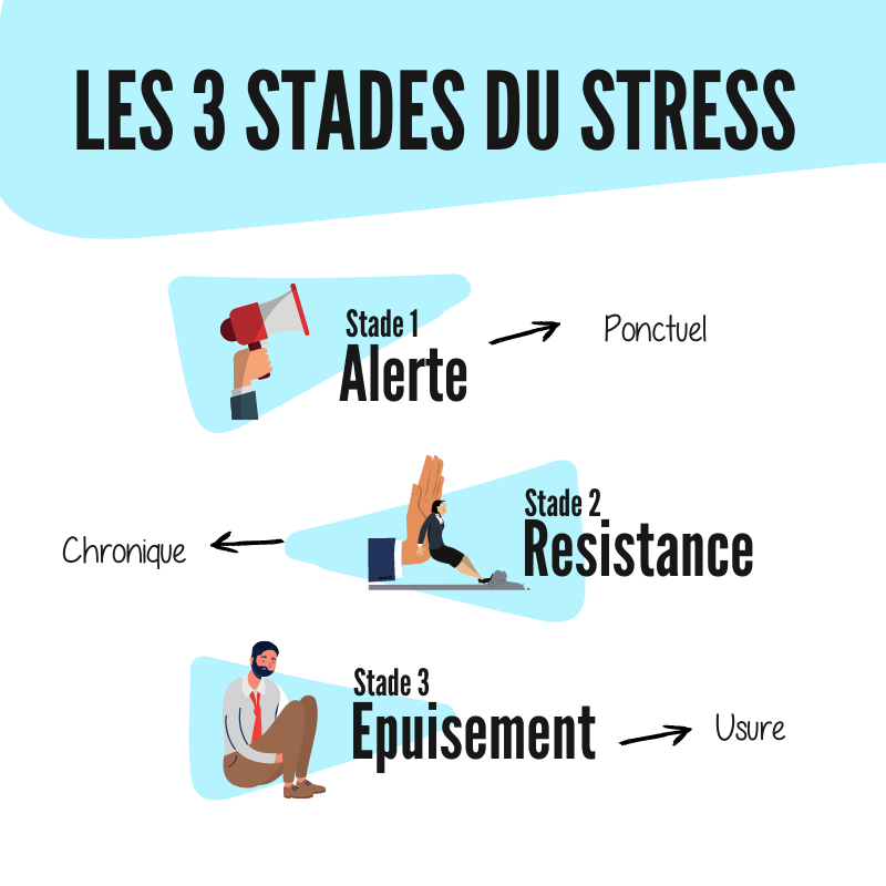 Stades du stress